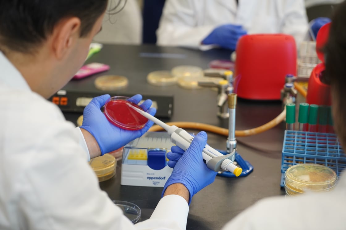 USF researcher in lab