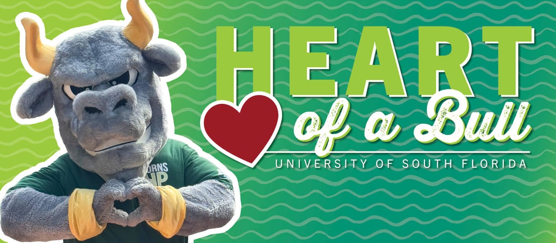 Heart of a Bull. University of South Florida.
