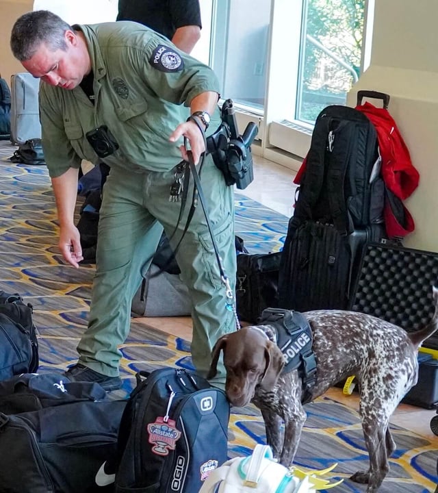 Cpl. Chad Hill and K9 Alma conduct pre-event sweeps before a USF football game.