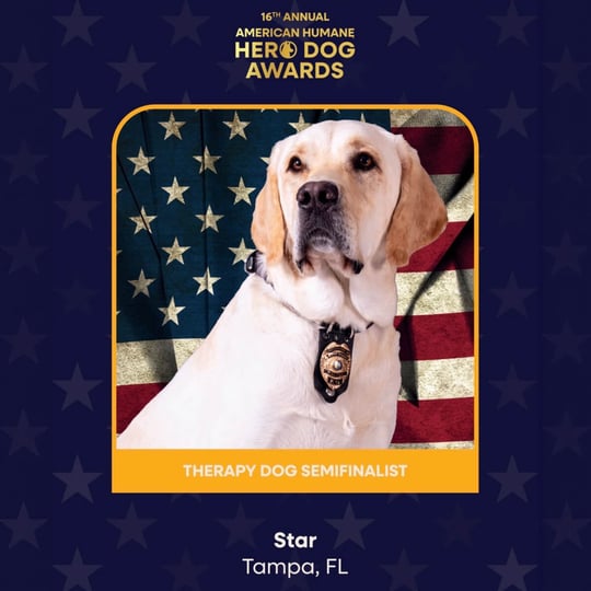 16th Annual American Humane Hero Dog Awards. Therapy Dog Semifinalist. Star from Tampa, FL.