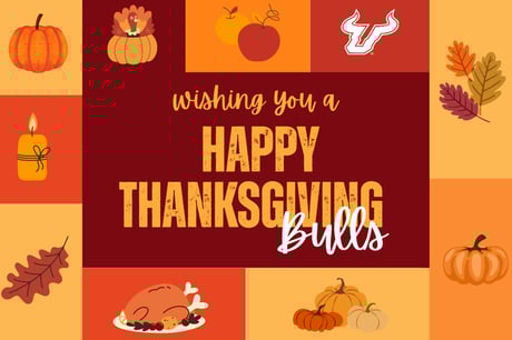 Happy Thanksgiving Bulls graphic