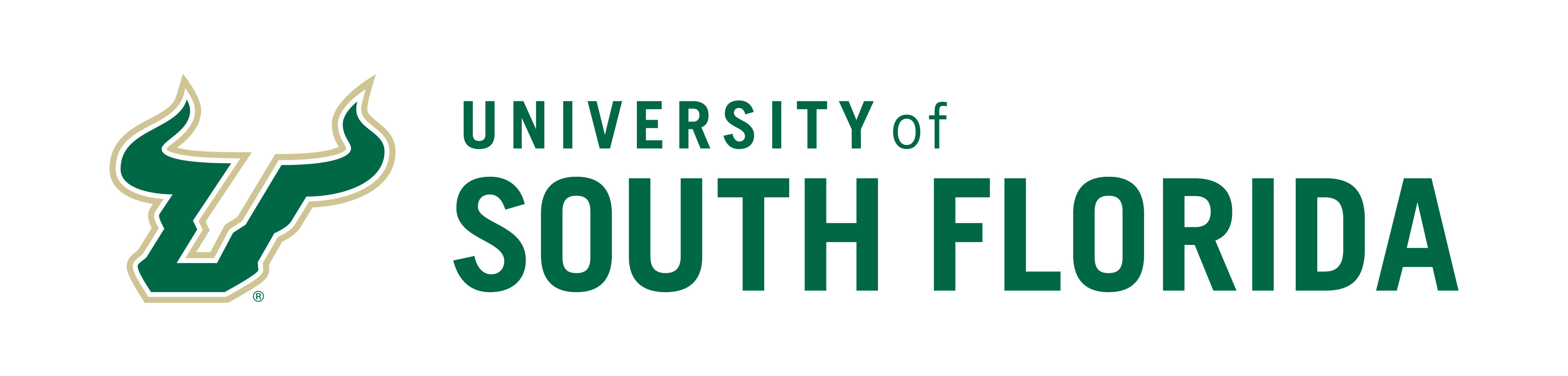 University of South Florida